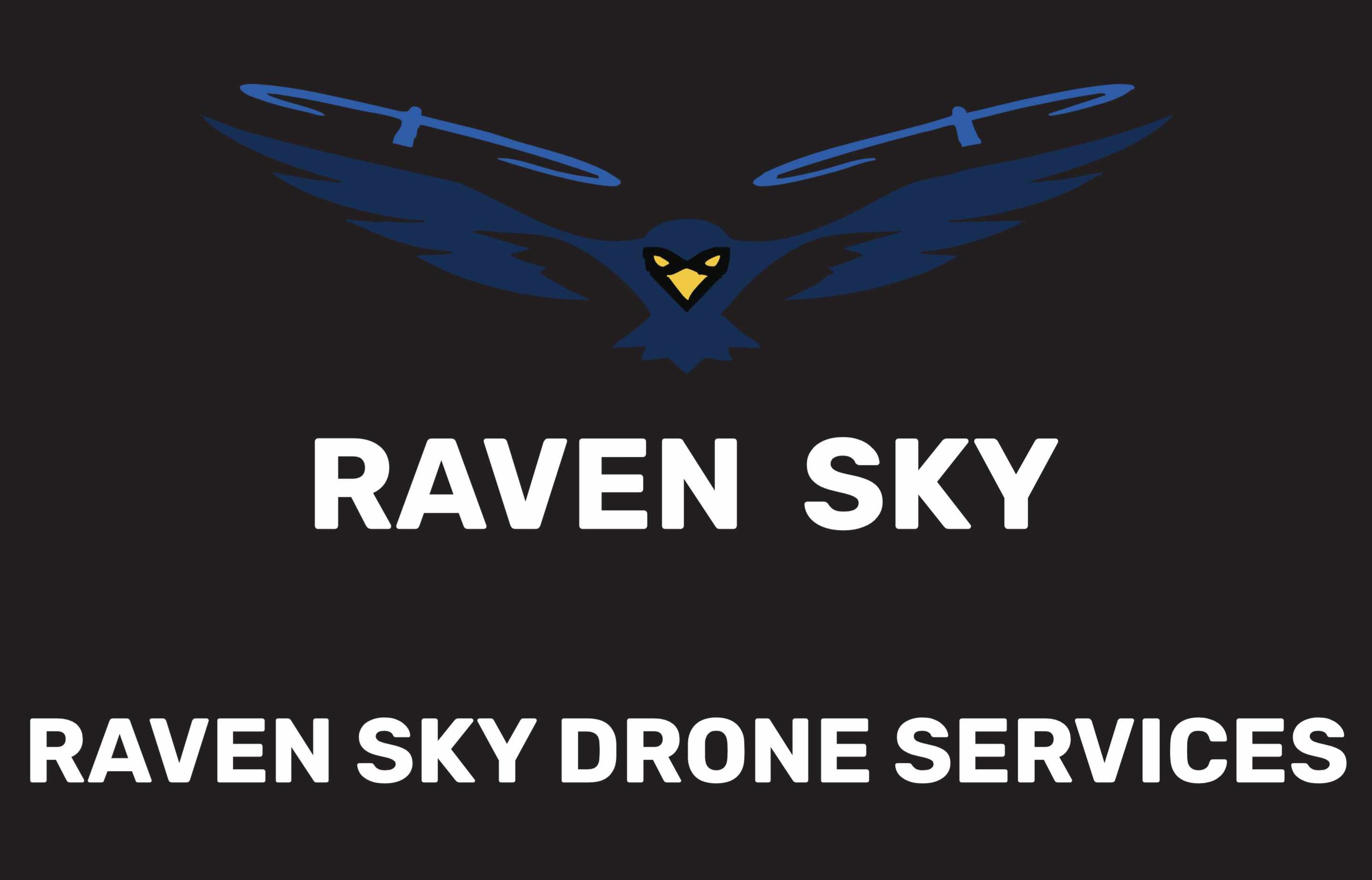 Raven Sky Drone Services logo